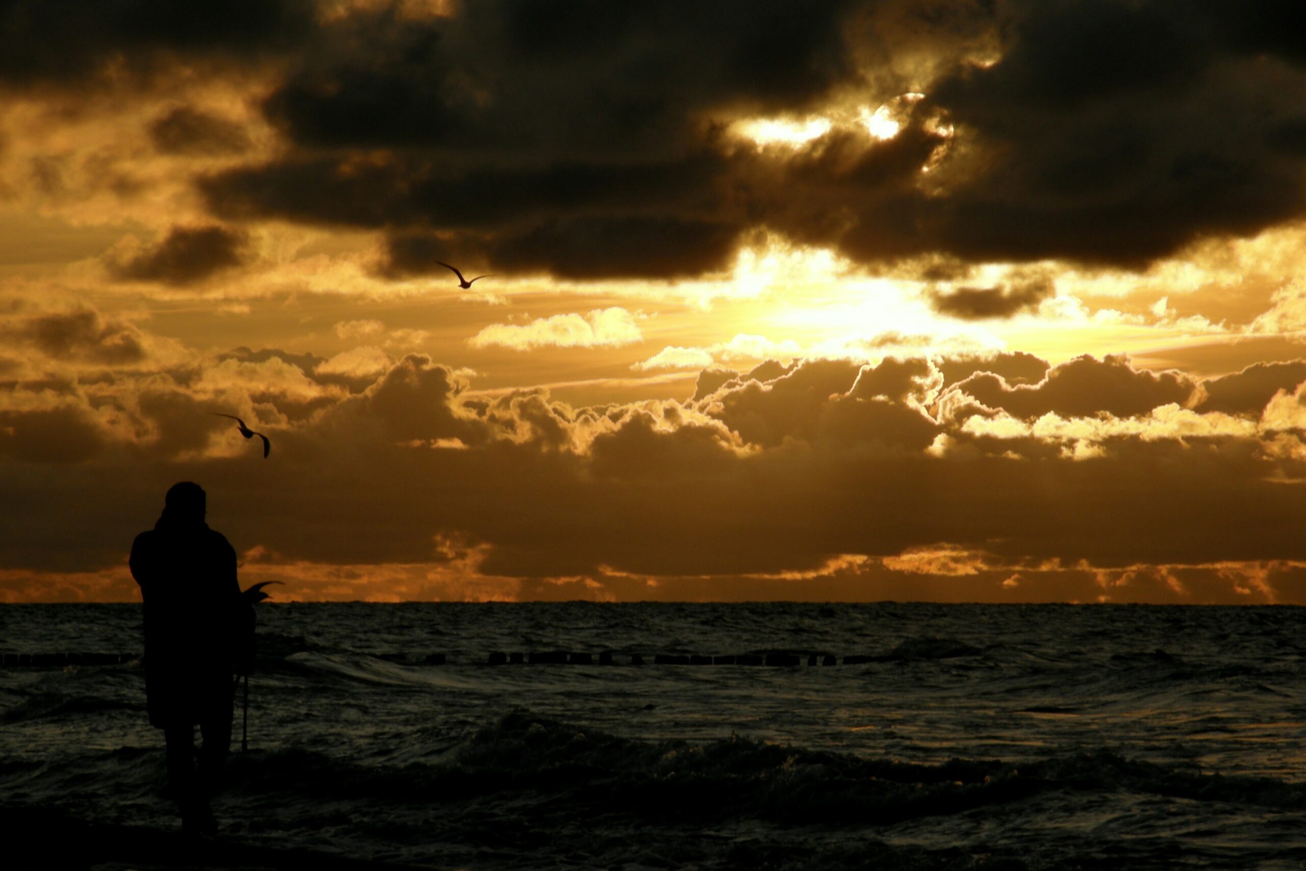 OLYMPUS DIGITAL CAMERA - Plaża Niechorze