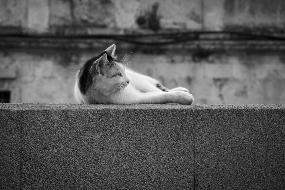 image-102 - Czarno-białe street photo - kiedy konwertować?