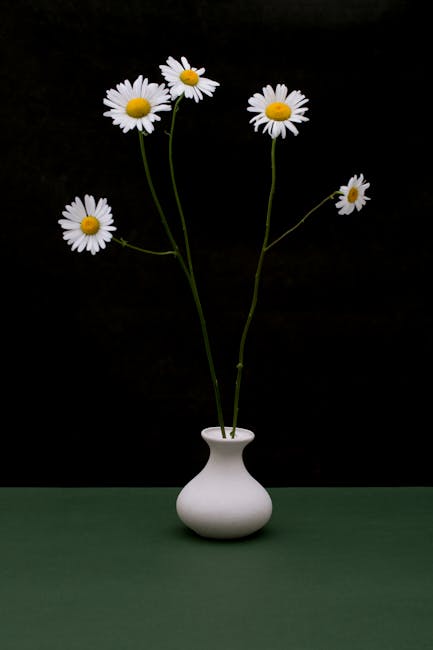 image-139 - Fotografia wnętrz - oświetlenie i kompozycja