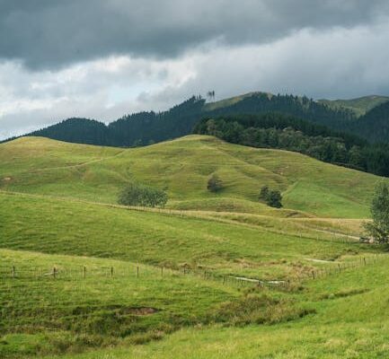 image-179 - Presety kolorystyczne - tworzenie spójnego stylu