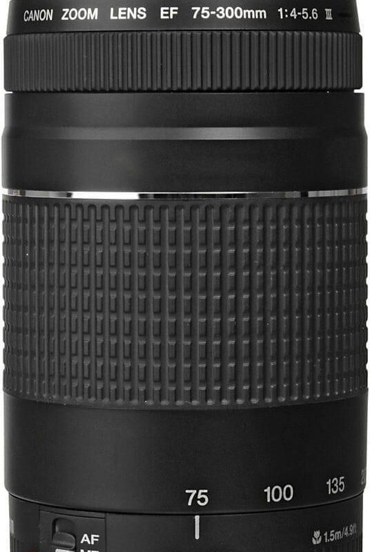 image-329 - Recenzja Obiektywu Canon EF 75-300mm f/4-5.6 III