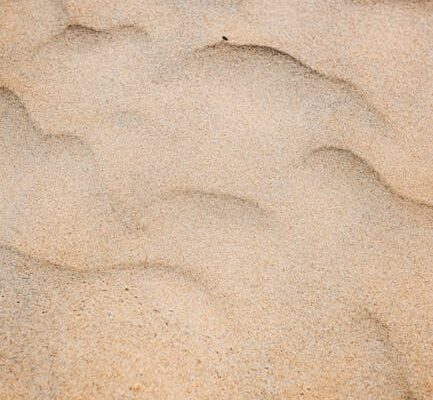 image-5 - Aparaty full frame vs APS-C - różnice i zastosowania