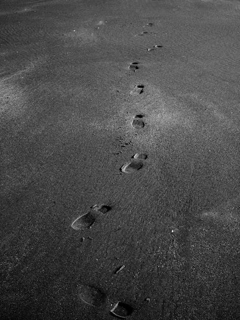 image-52 - Kierunek światła - przednie, boczne, tylne