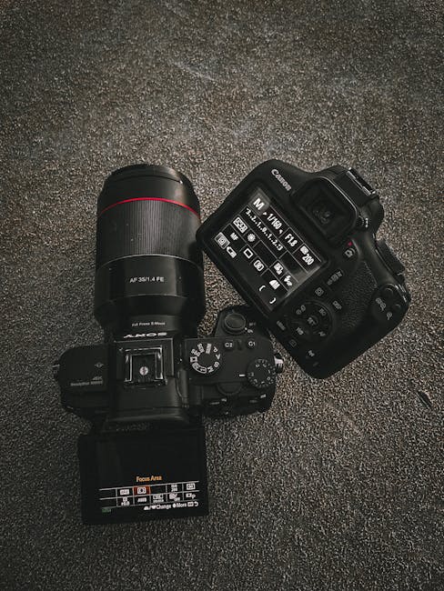 image-60 - Kompensacja ekspozycji - kiedy i jak jej używać?