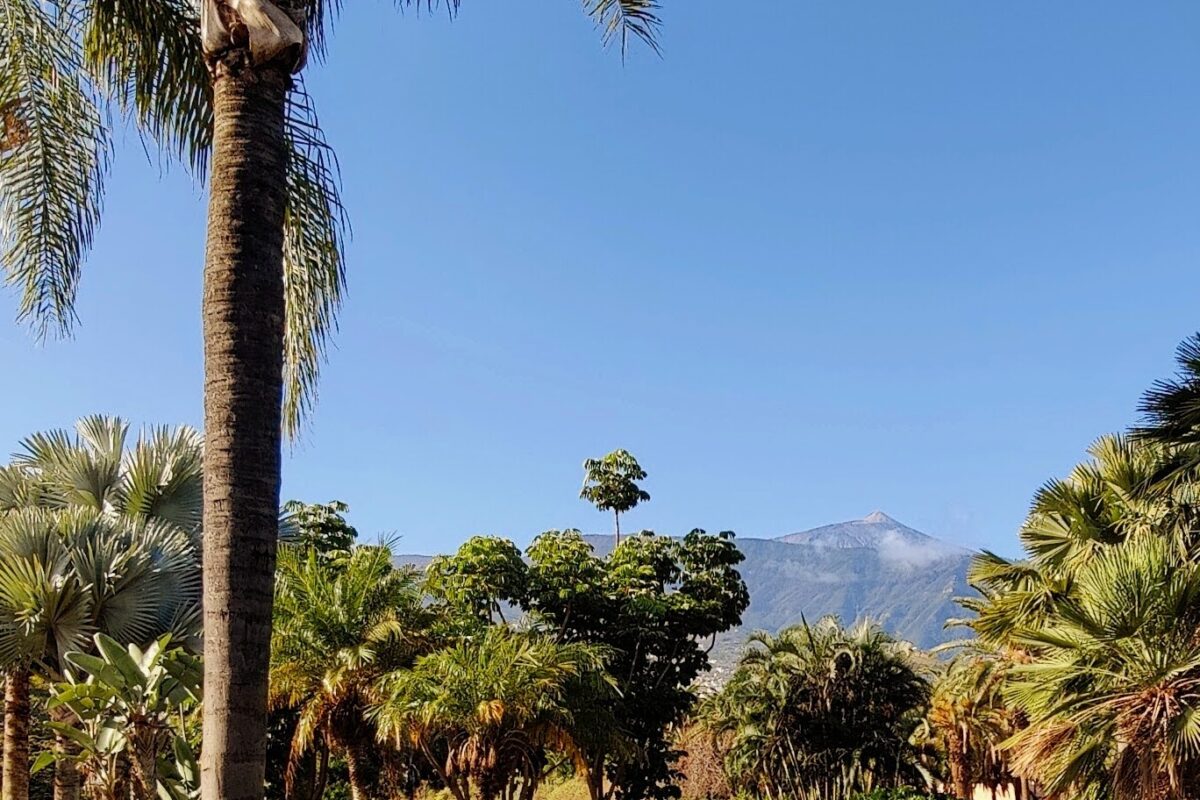 oplus_34 - Park Taoro - Puerto de la Cruz, Teneryfa