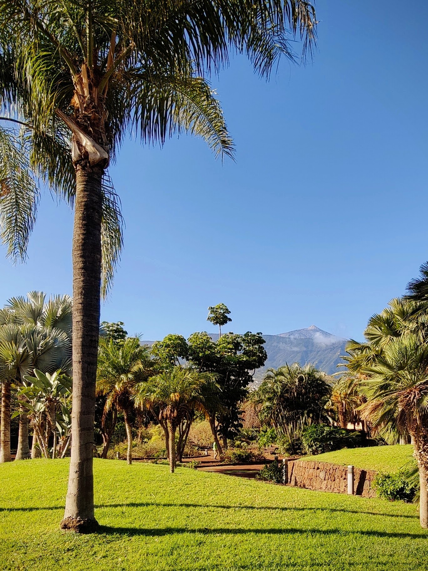 oplus_34 - Park Taoro - Puerto de la Cruz, Teneryfa