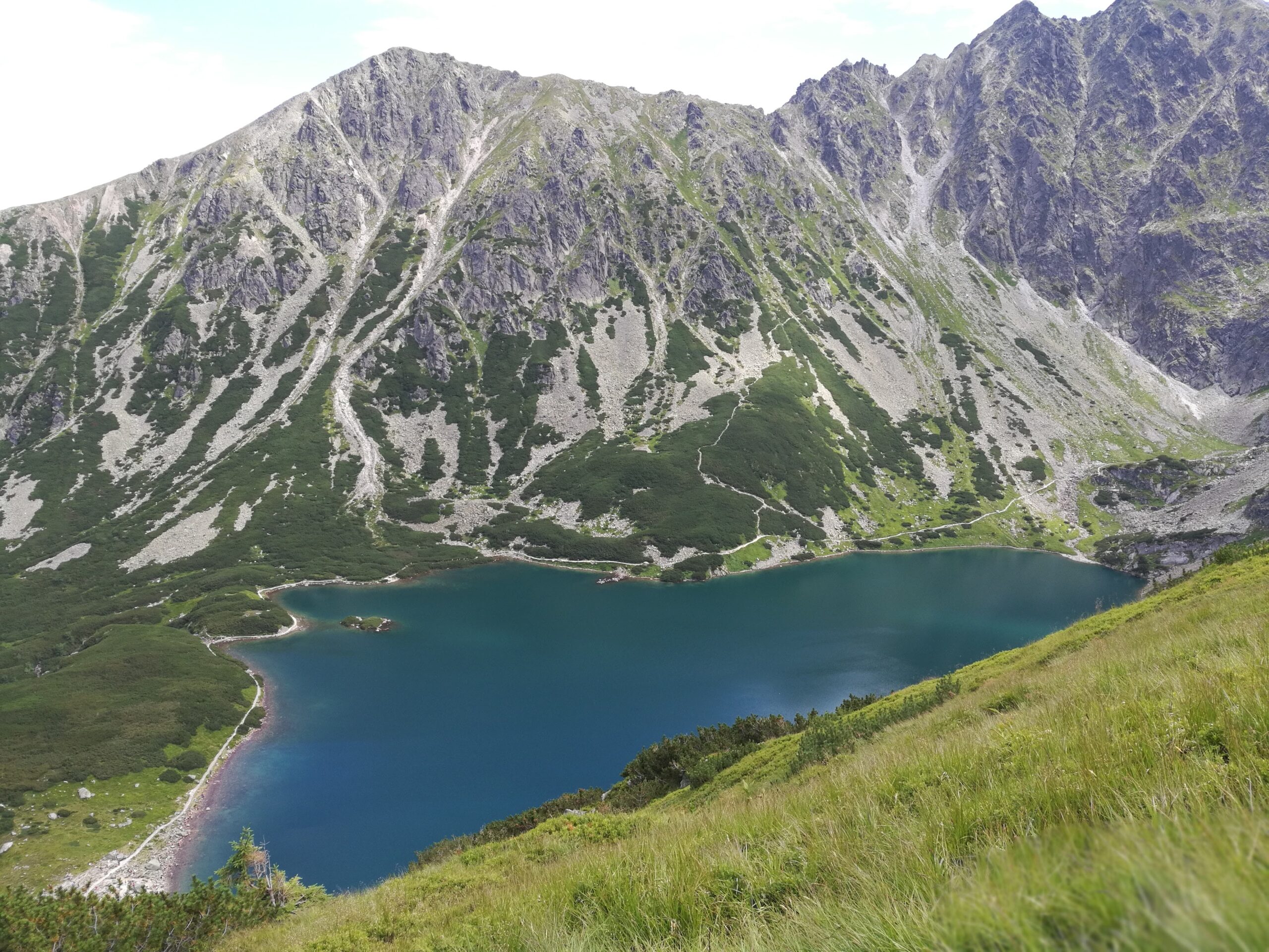 edf - Czarny staw gąsienicowy