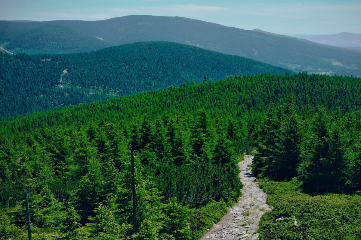 Oplus_16908288 - Czarna Góra w rejonie Masywu Śnieżnika