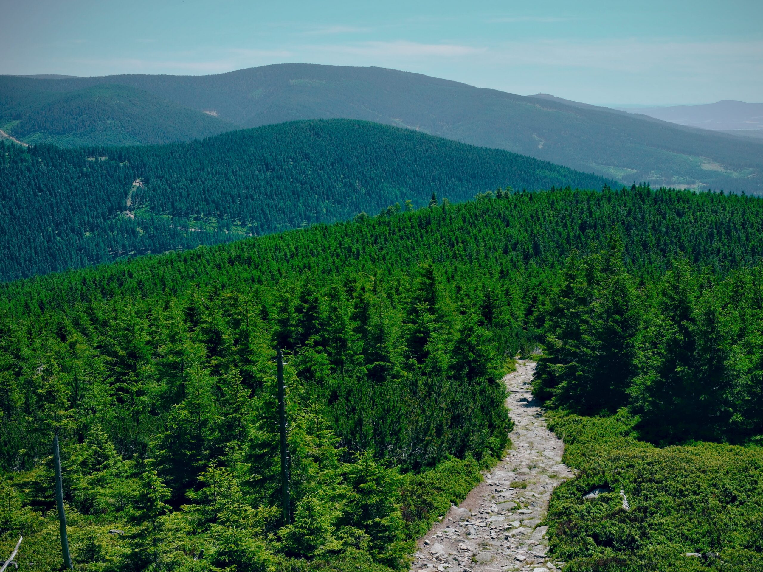 Oplus_16908288 - Czarna Góra w rejonie Masywu Śnieżnika