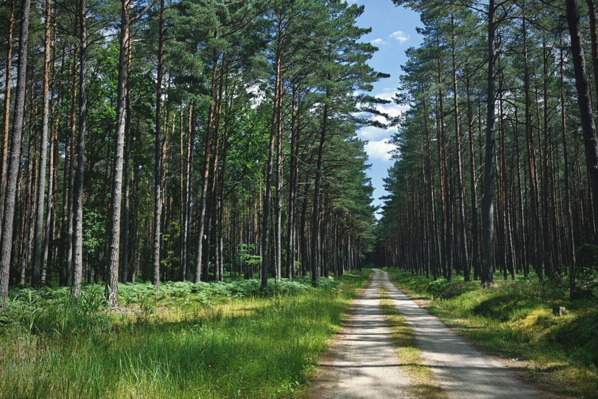 Oplus_17956864 - Trasa rowerowa R10