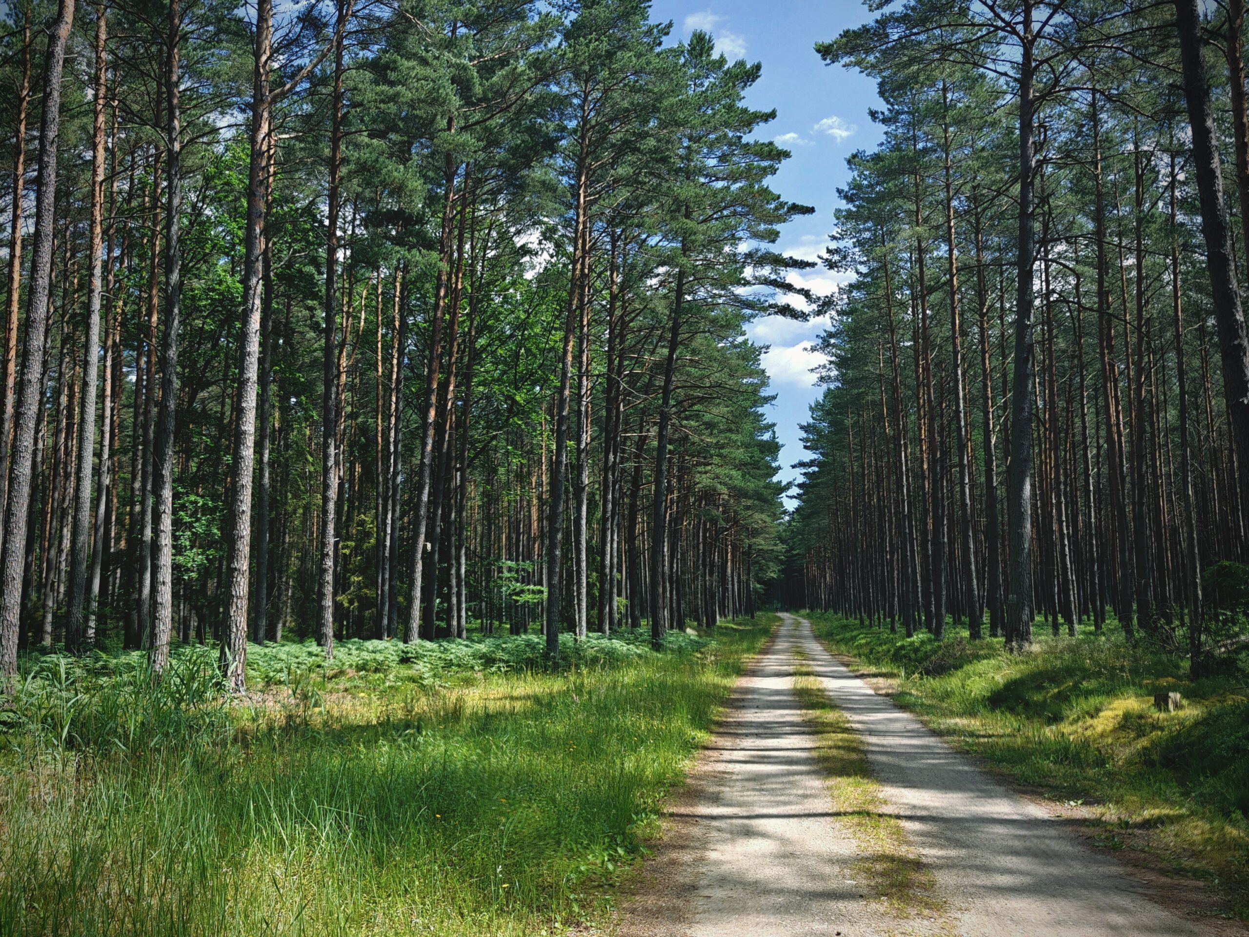 Oplus_17956864 - Trasa rowerowa R10