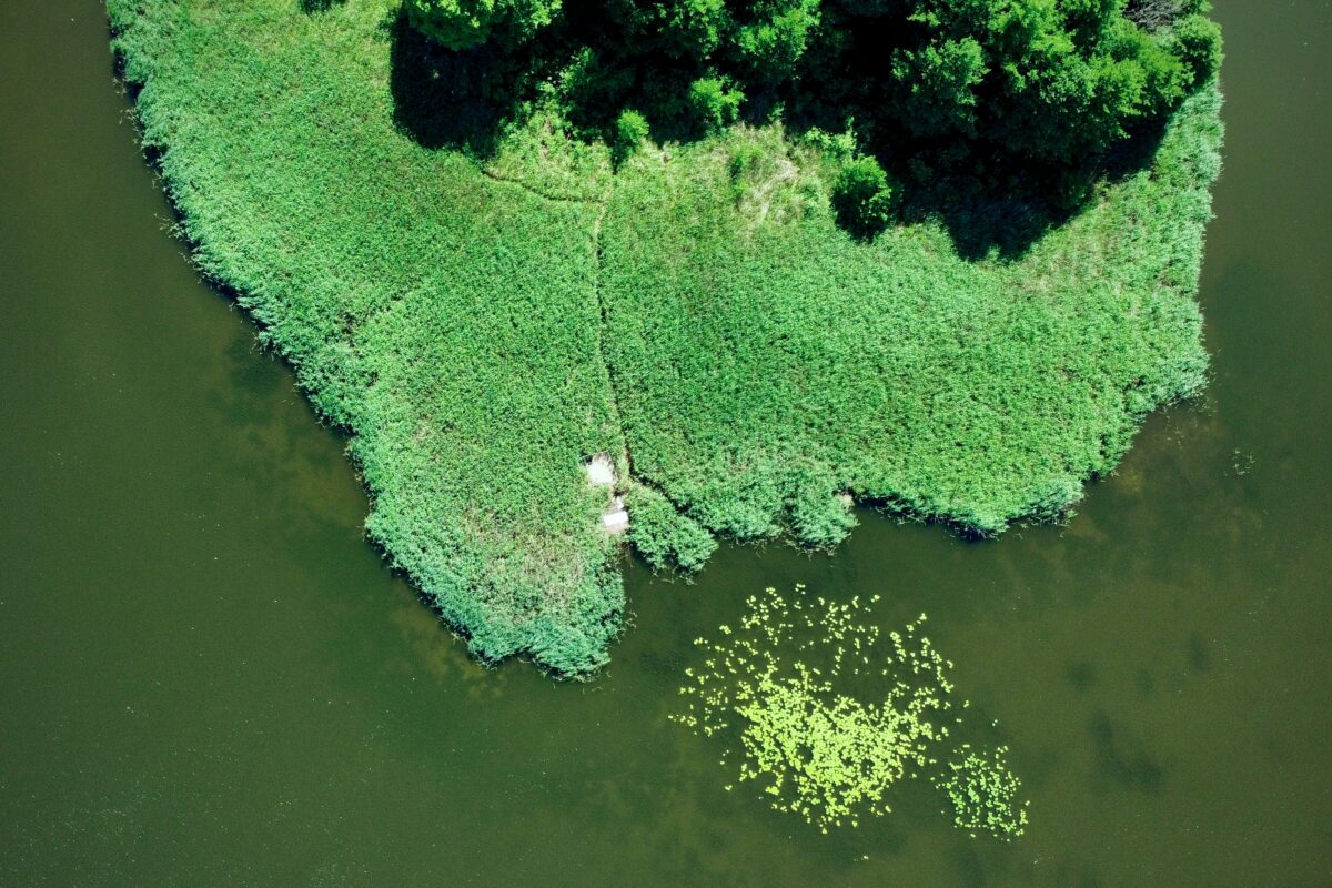 Oplus_16908288 - Wyspa na Jeziorze Swarzędzkim