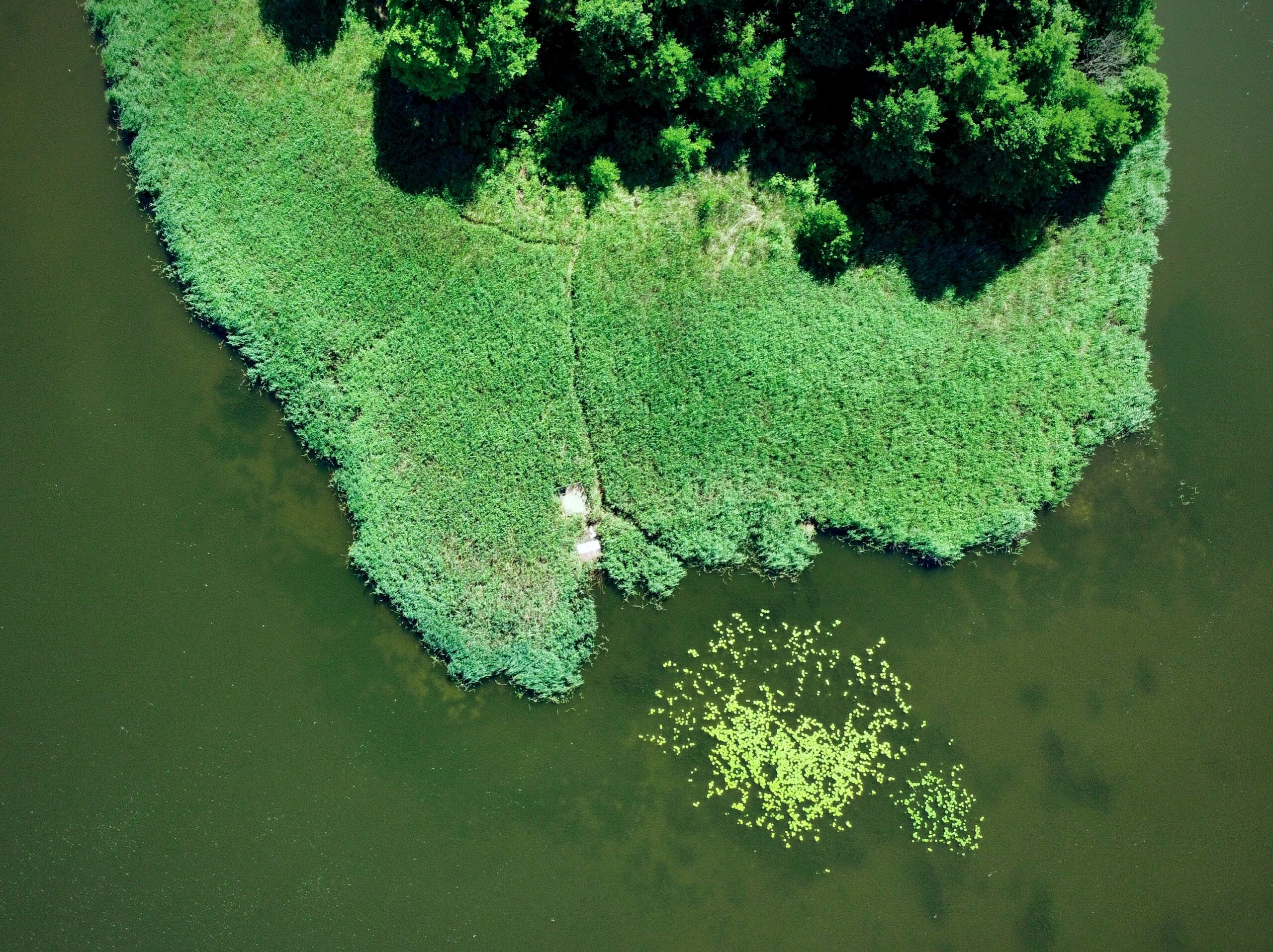 Oplus_16908288 - Wyspa na Jeziorze Swarzędzkim