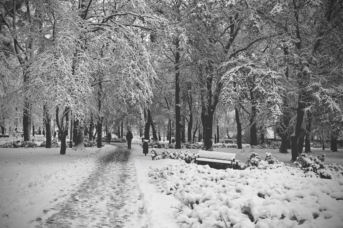 Park Górczyński zimą - Poznań