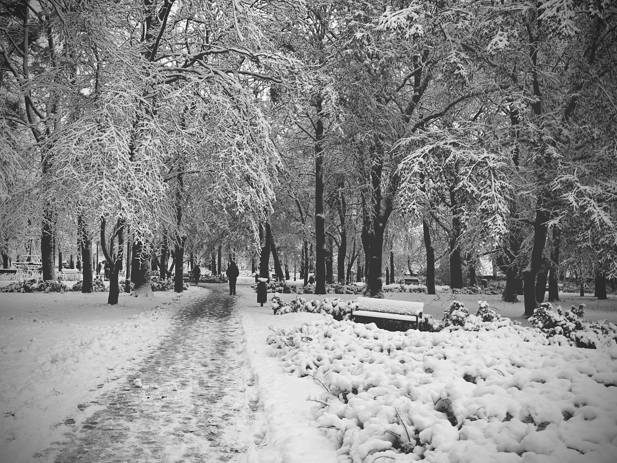 Park Górczyński zimą - Poznań
