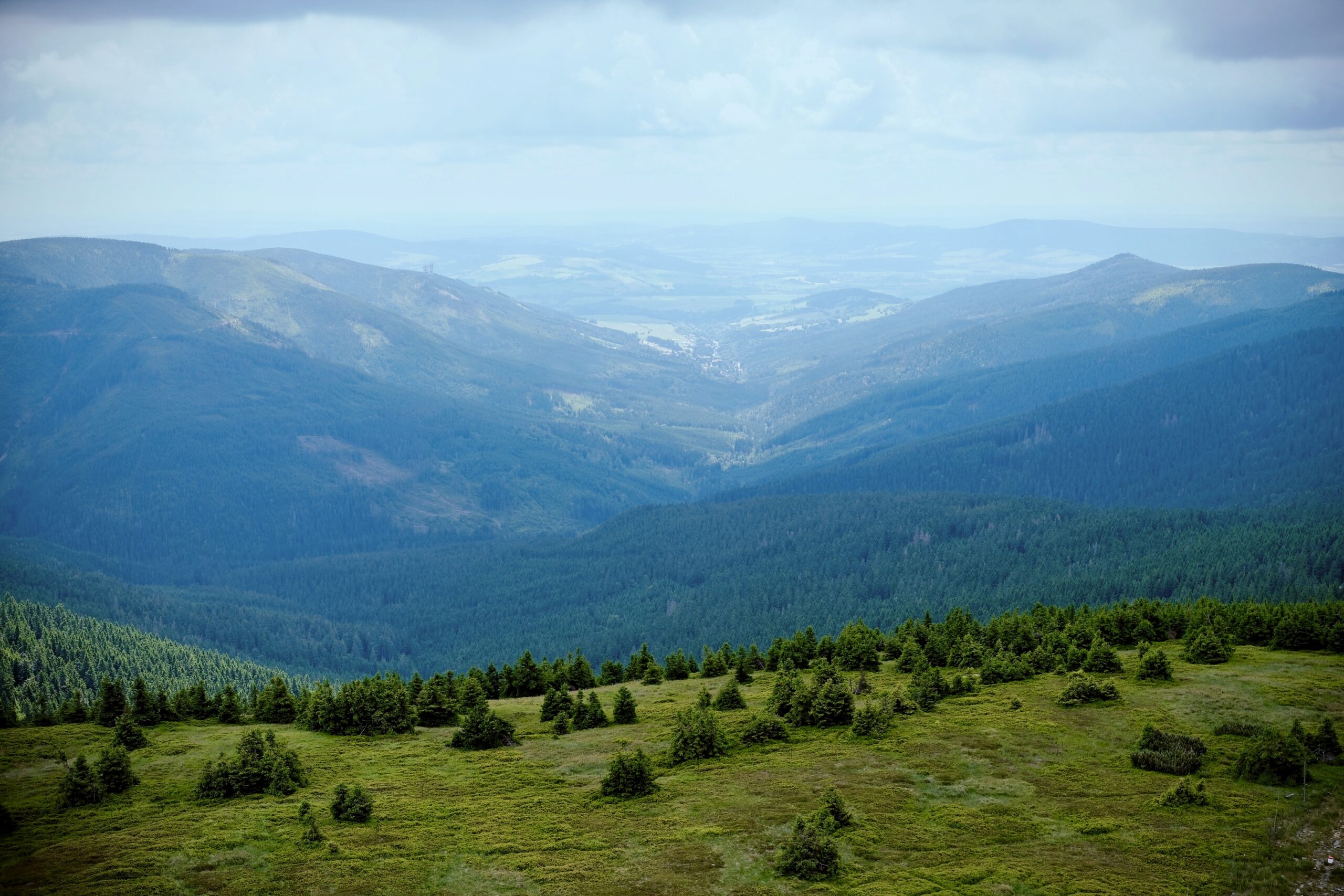 Oplus_16908288 - Widok z wieży na Śnieżniku