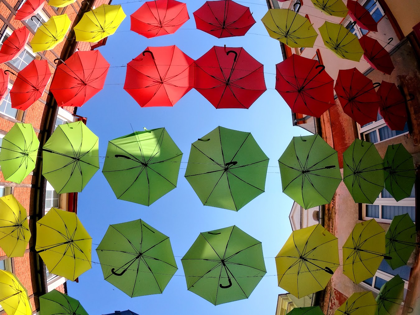 DCIM100GOPROGOPR5544.JPG - Połczyńskie parasolki - Połczyn-Zdrój