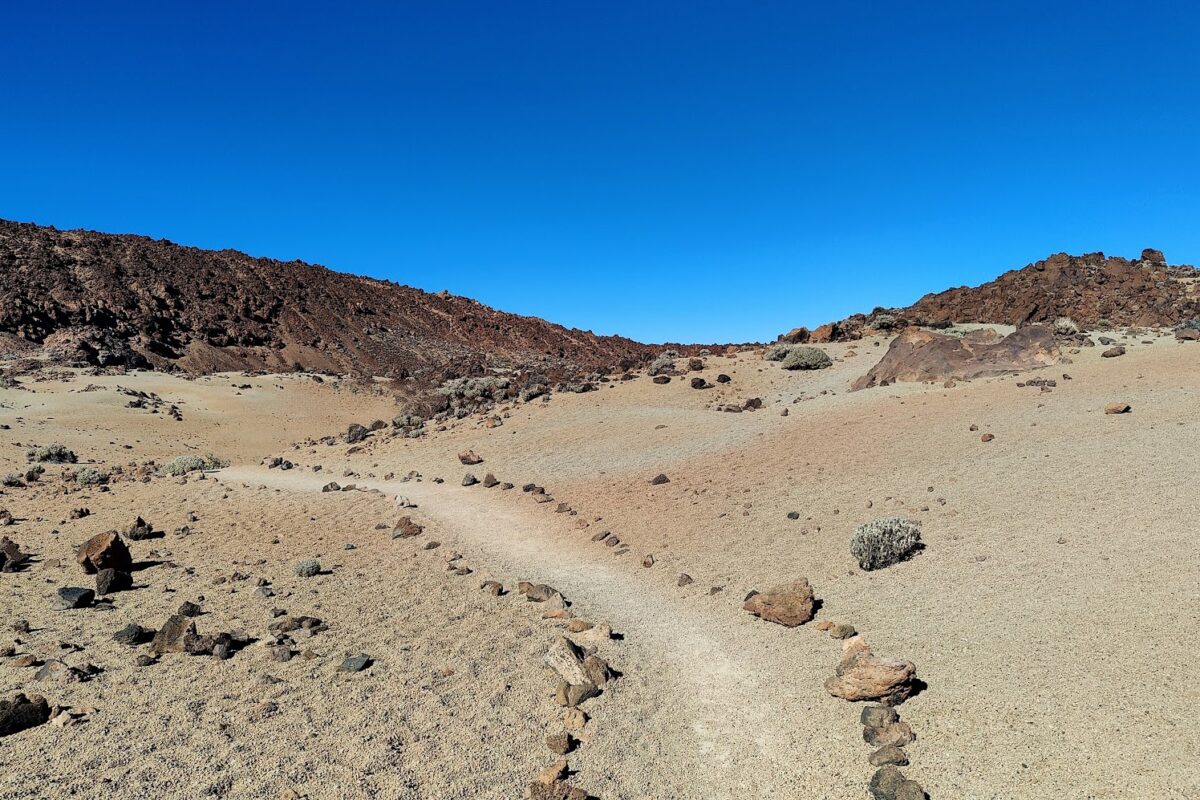 IMG20240312163607~2-EDIT - Teide Teneryfa