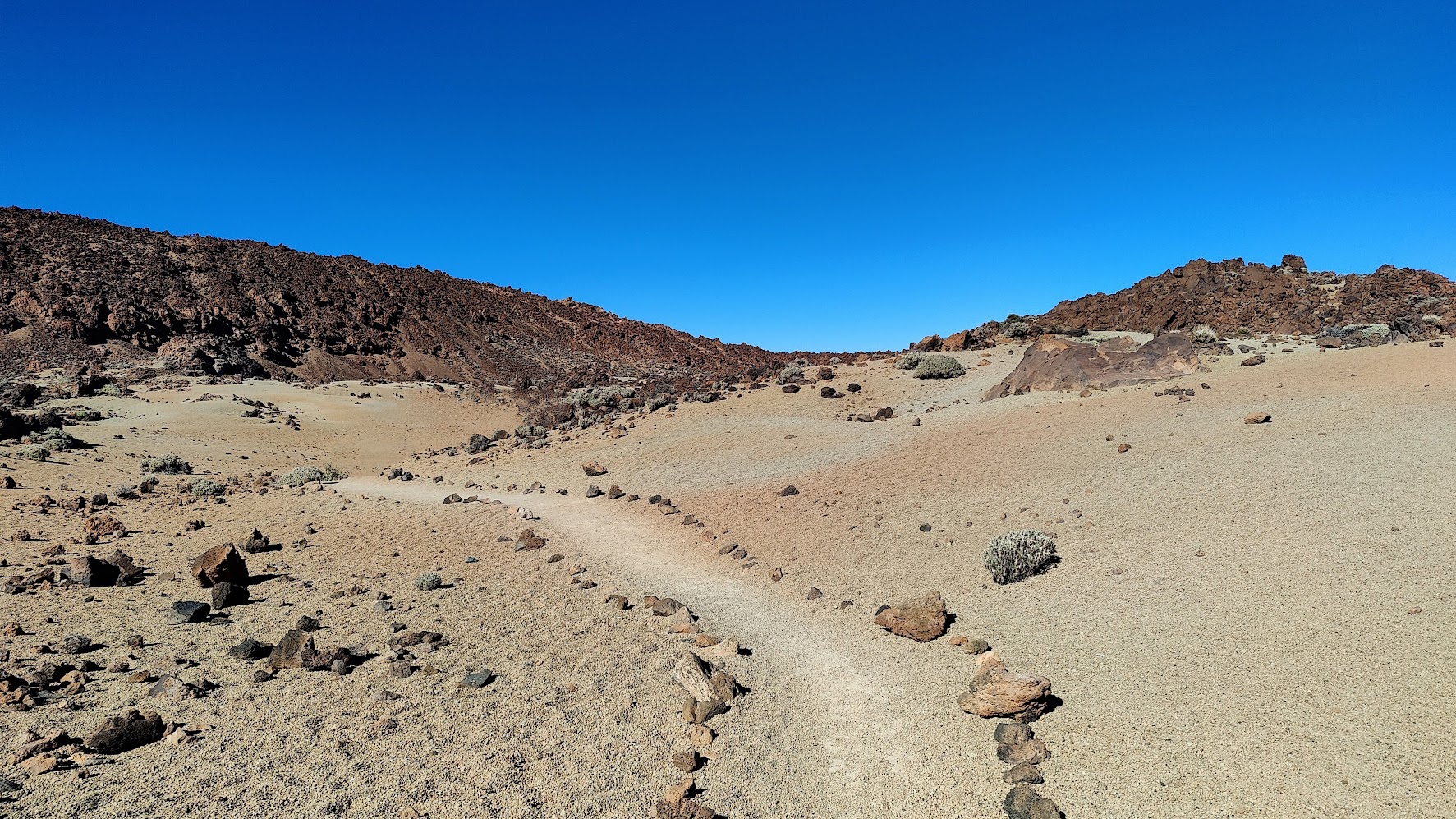 IMG20240312163607~2-EDIT - Teide Teneryfa