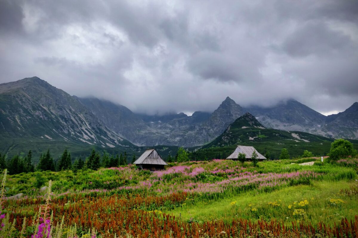 IMG_20190801_182256-EDIT - Hala Gąsiennicowa – serce Tatr Wysokich