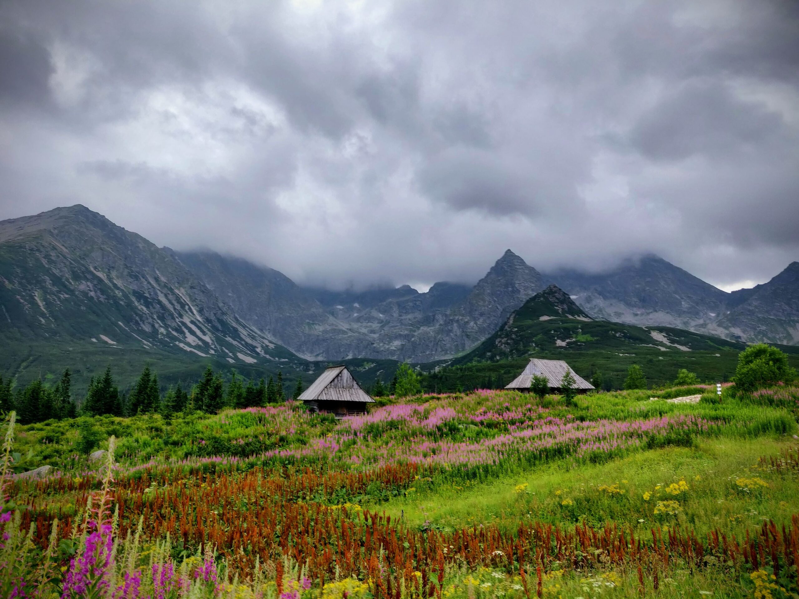IMG_20190801_182256-EDIT - Hala Gąsiennicowa – serce Tatr Wysokich
