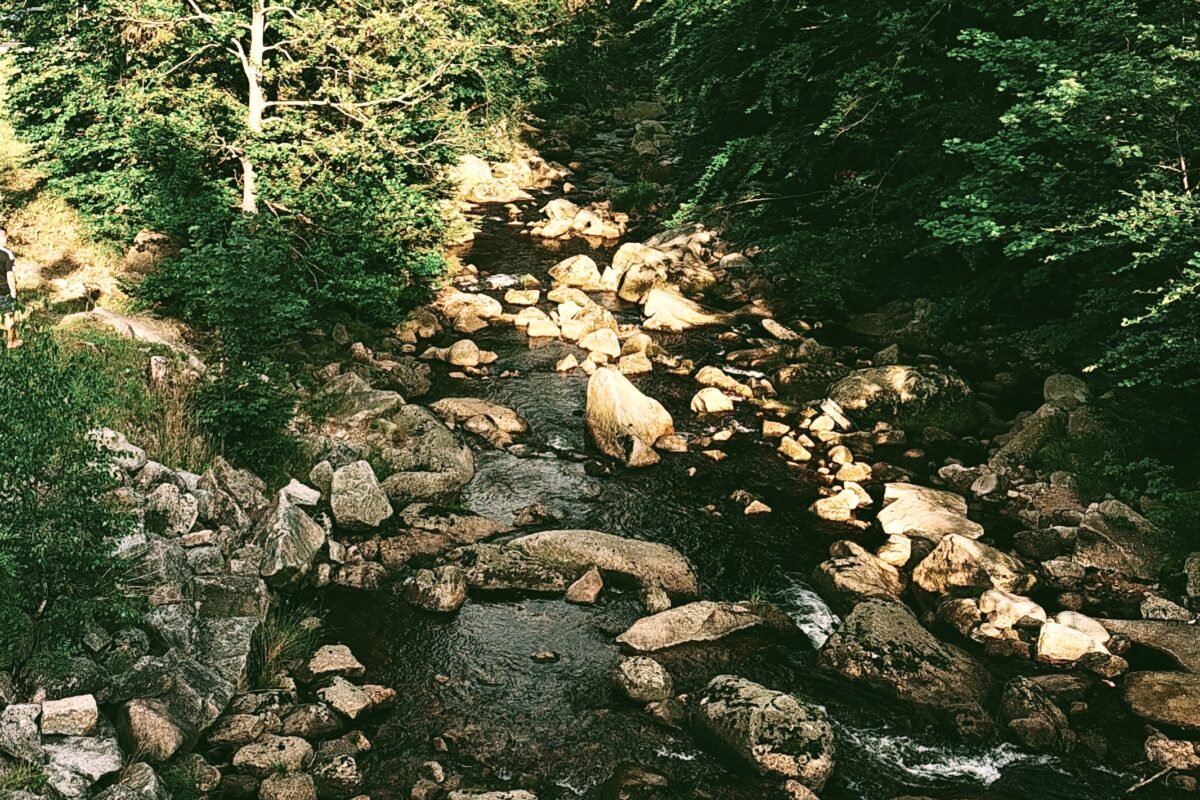 Oplus_17957152 - Rzeka Kamienna w Szklarskiej Porębie