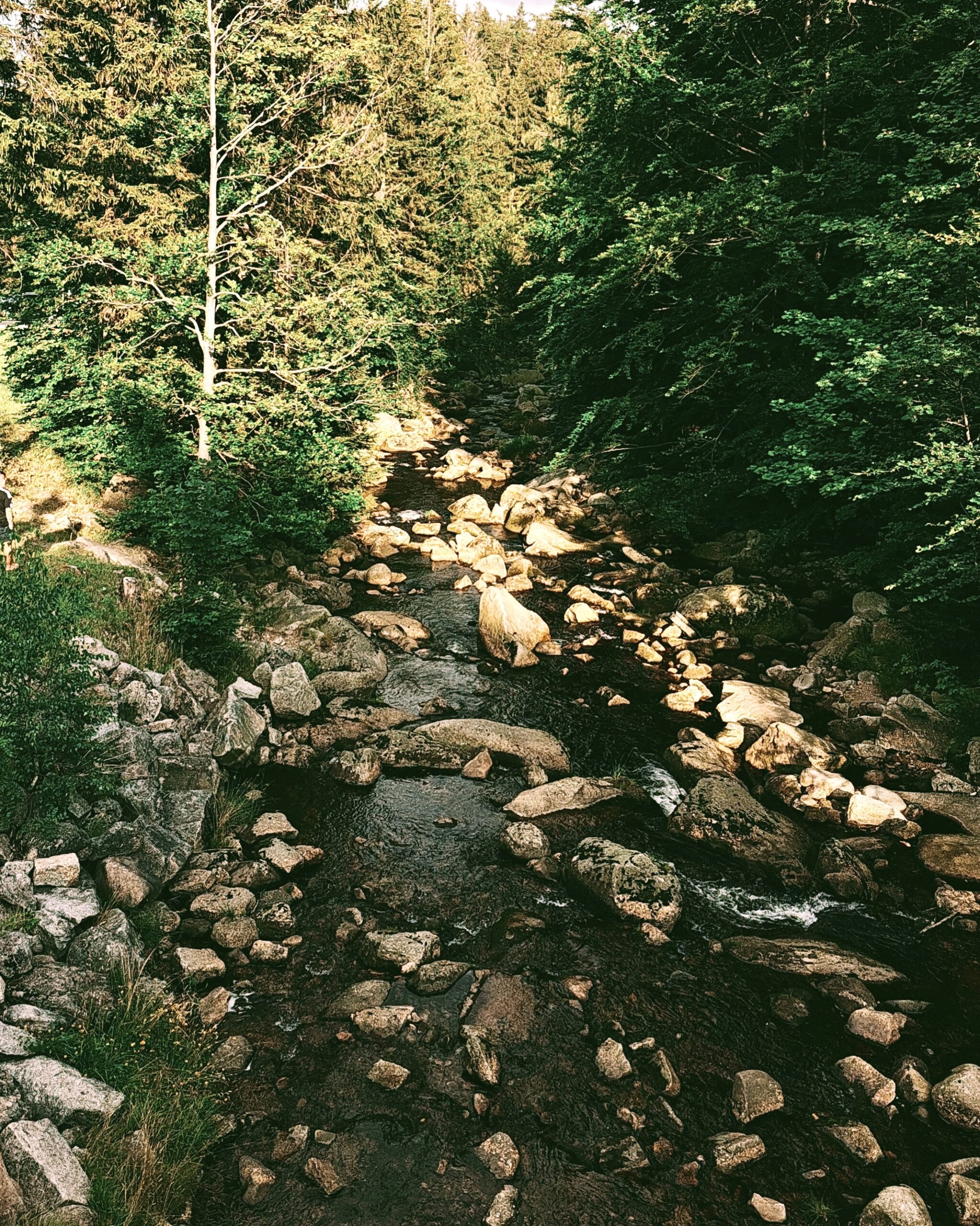 Oplus_17957152 - Rzeka Kamienna w Szklarskiej Porębie