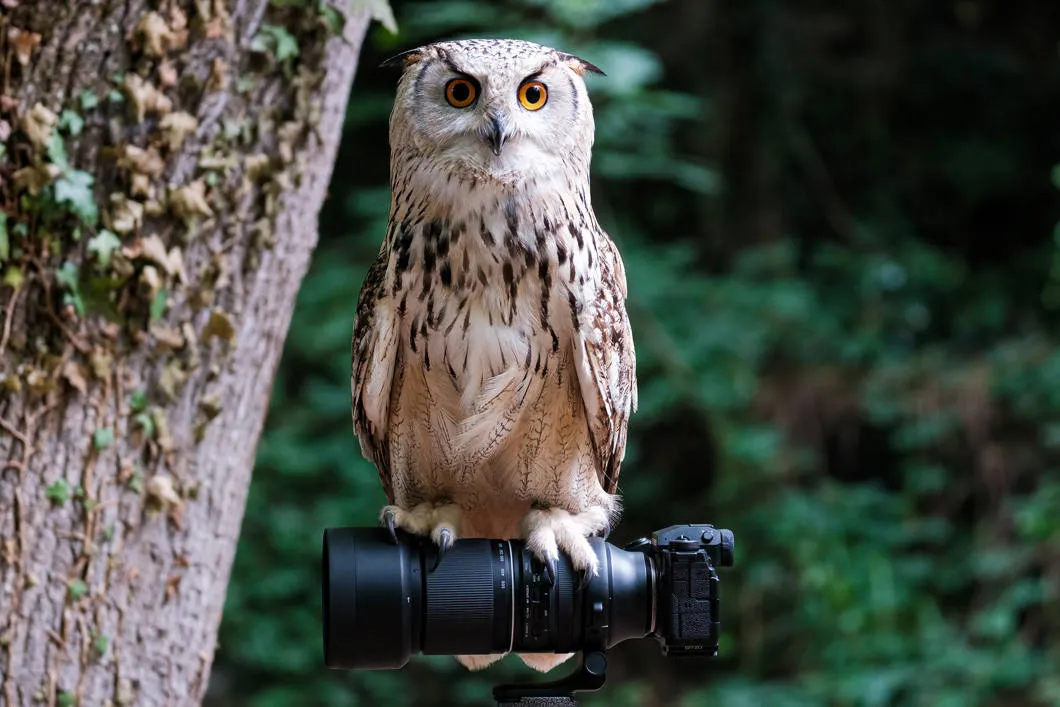 Tamron 150-500 mm - Tamron 150-500 mm f/5-6.7 - aktualizacja oprogramowania