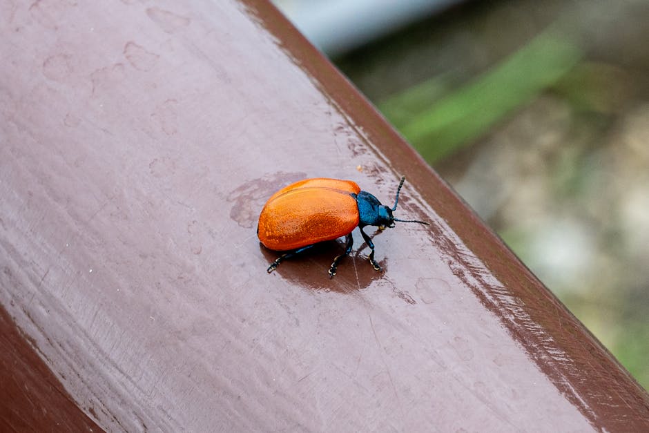 image-6 - Nikon Z6III recenzja aparatu - sprzęt fotograficzny i wideo