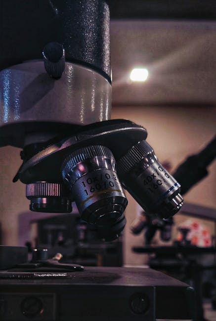 image-12 - Obiektywy Venus Optics do filmowania — przewodnik 2026