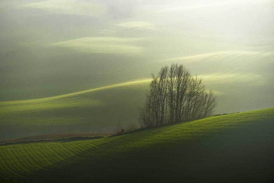 image-9 - Fotografia krajobrazowa: techniki, sprzęt i inspiracje 2026